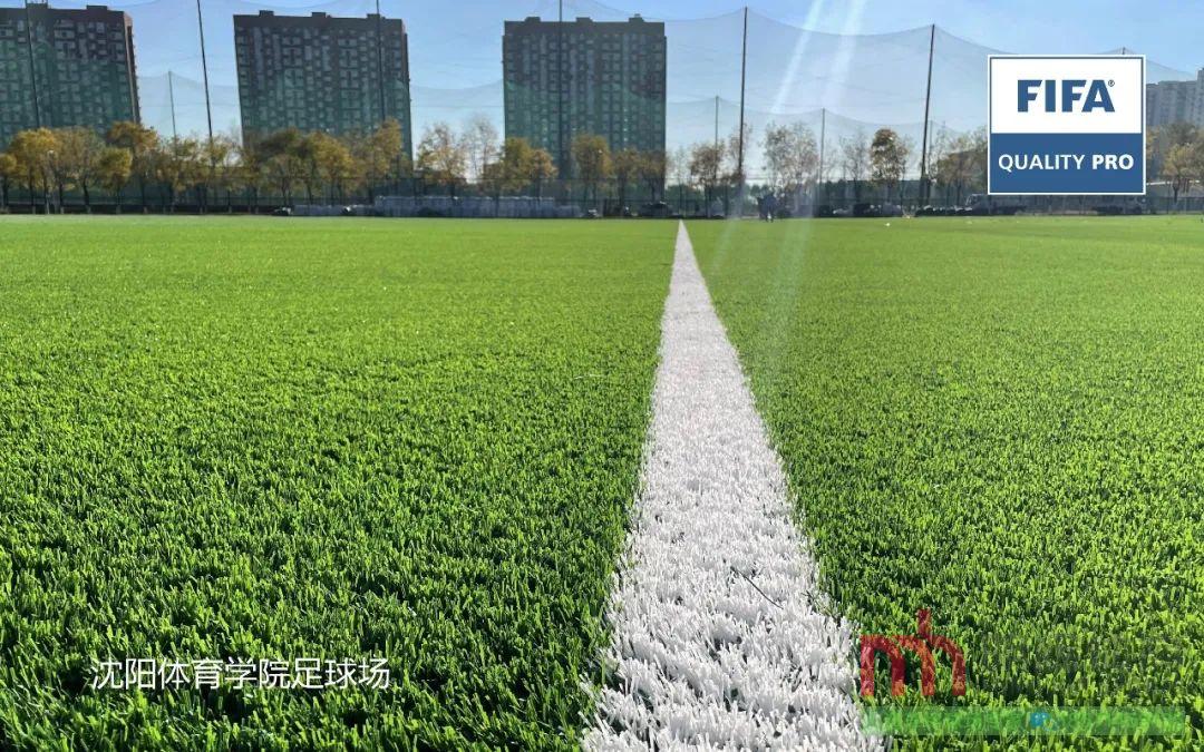 锦州人造草坪足球场